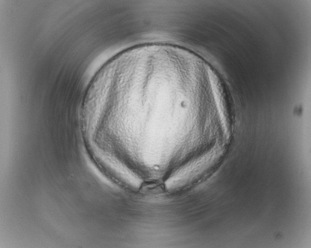 X0000113101239200909182130