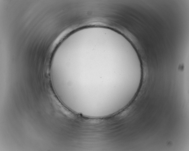 X0000113101240200909182130
