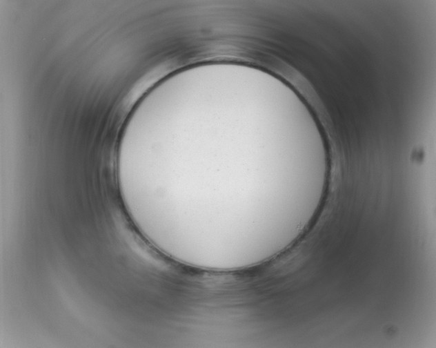 X0000113101242200909182130