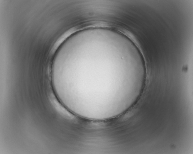 X0000113101243200909182130