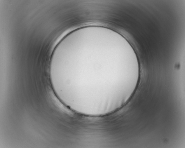 X0000113101244200909182131