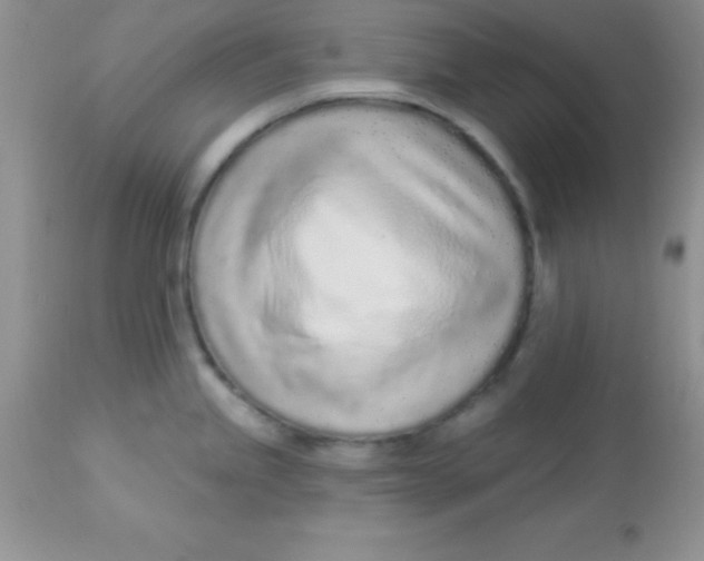 X0000113101245200909182131
