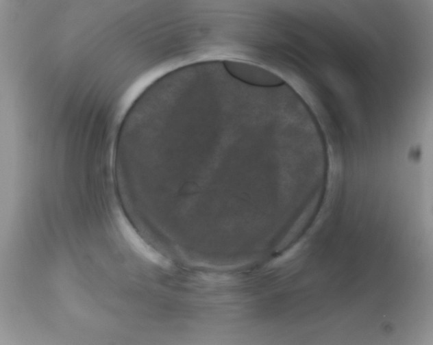 X0000113101246200909182131