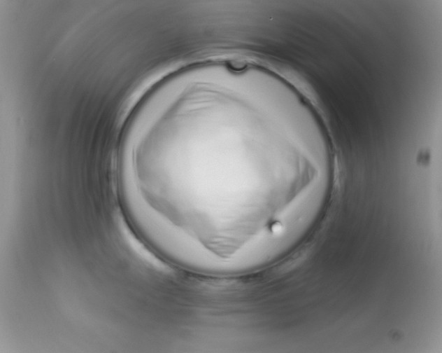 X0000113101247200909182131