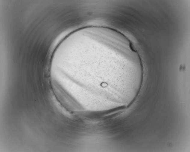 X0000113101248200909182131