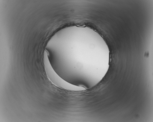 X0000113101249200909182130