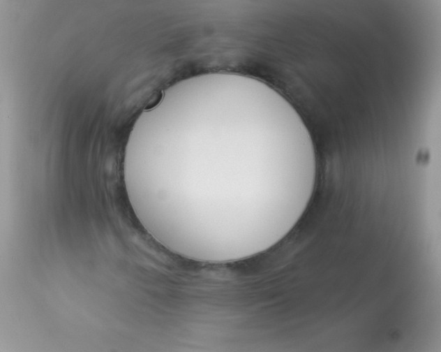 X0000113101250200909182130