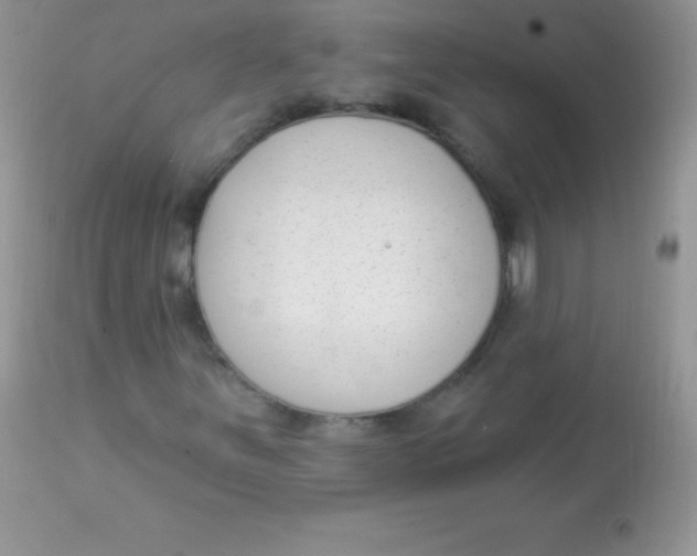 X0000113101251200909182130