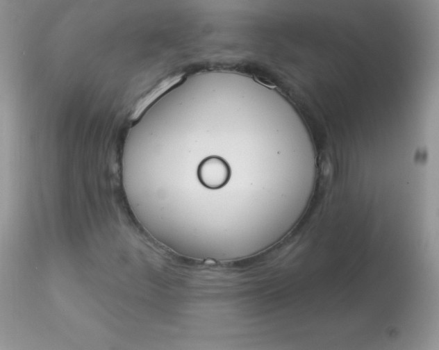 X0000113101252200909182130