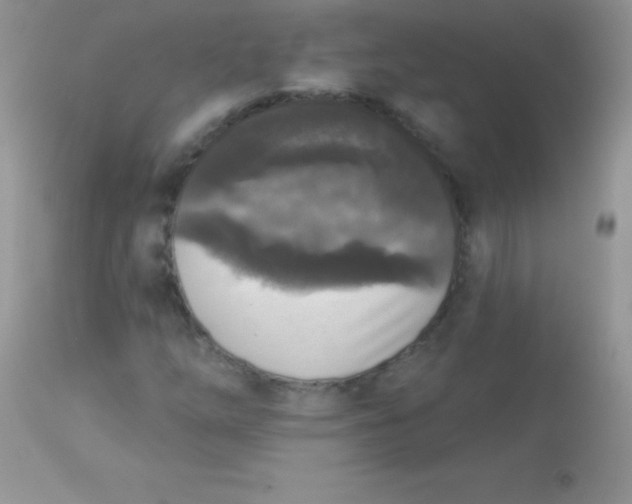 X0000113101254200909182130