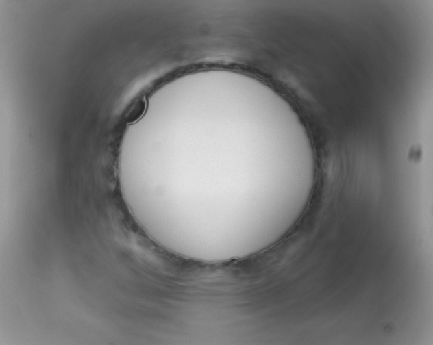 X0000113101256200909182130
