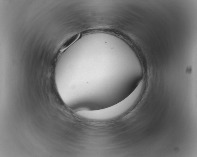 X0000113101257200909182130