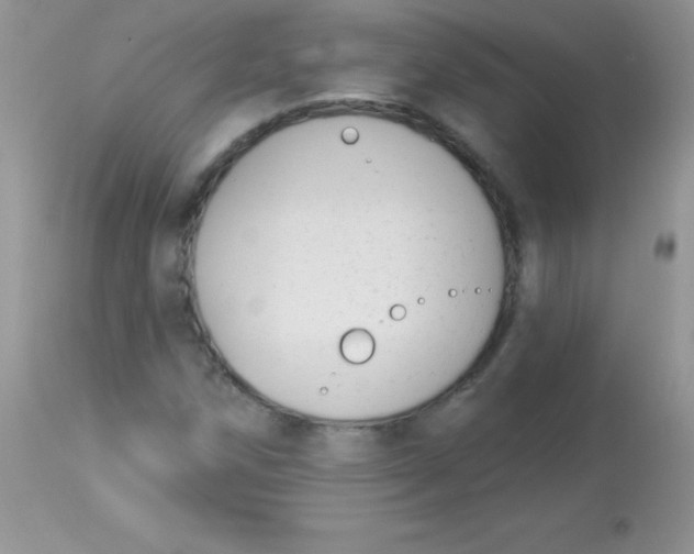 X0000113101258200909182130