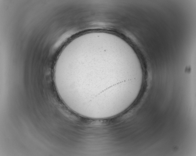 X0000113101259200909182130