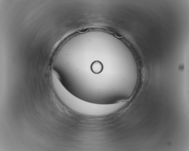 X0000113101260200909182130