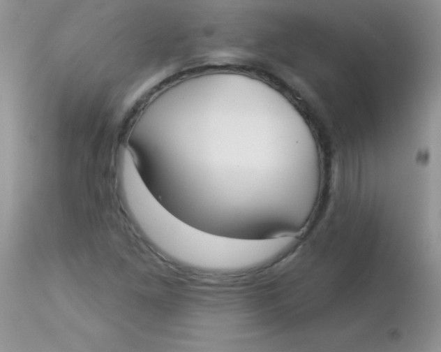 X0000113101261200909182130