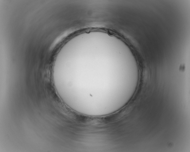X0000113101262200909182130