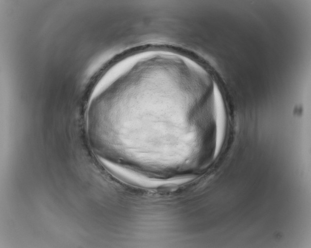 X0000113101263200909182130