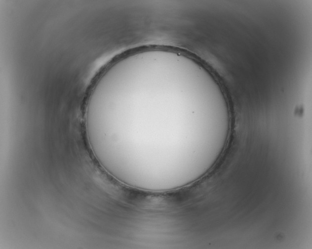 X0000113101264200909182130