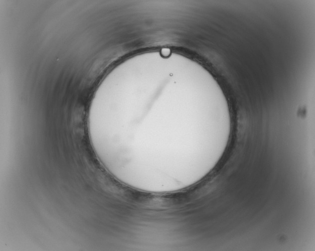 X0000113101265200909182130