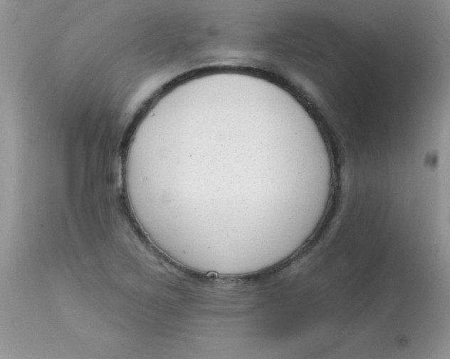 X0000113101267200909182129