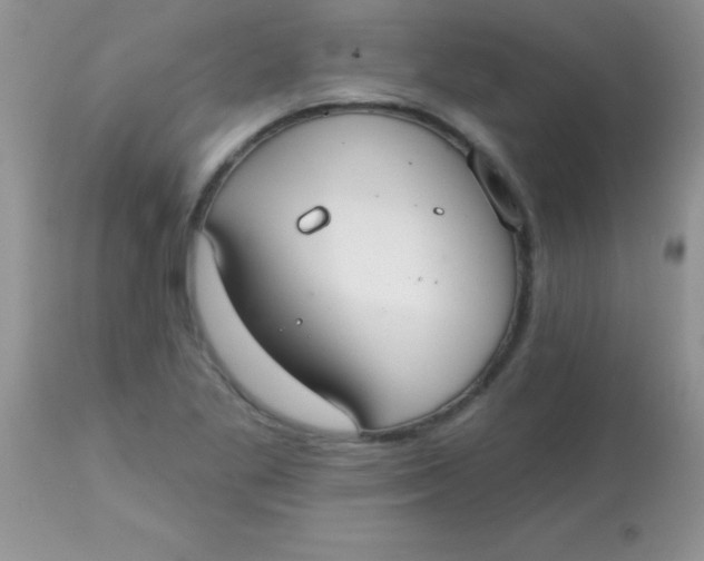 X0000113101269200909182129