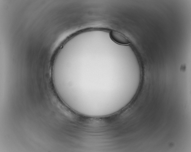 X0000113101270200909182129