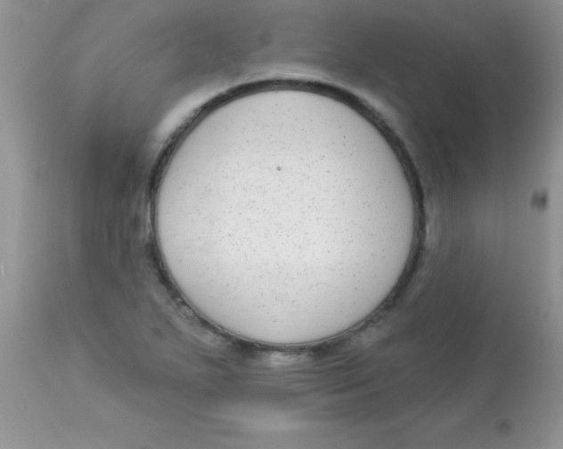 X0000113101271200909182129