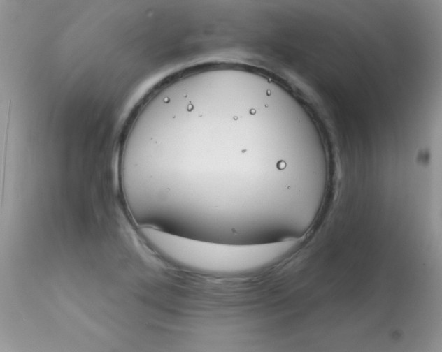 X0000113101272200909182129