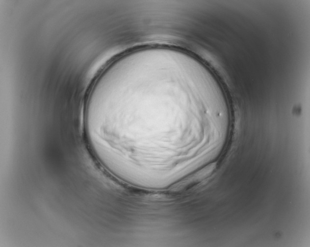 X0000113101275200909182129