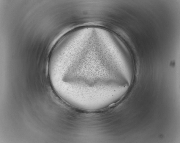 X0000113101276200909182129