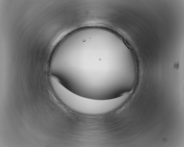 X0000113101277200909182129