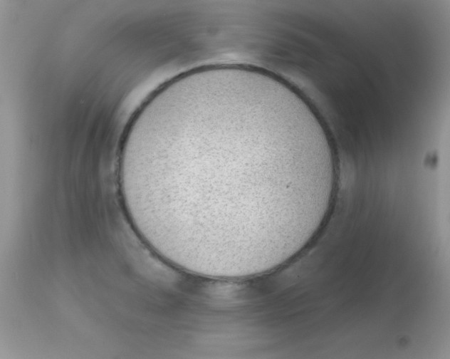 X0000113101278200909182129