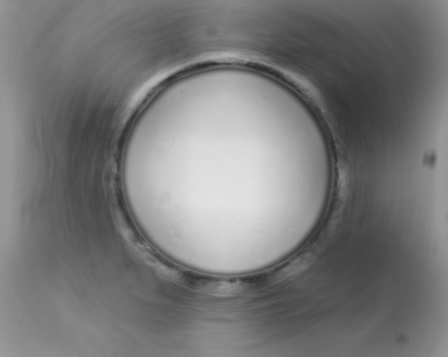X0000113101279200909182129