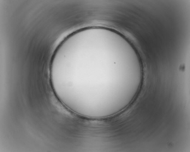 X0000113101280200909182129