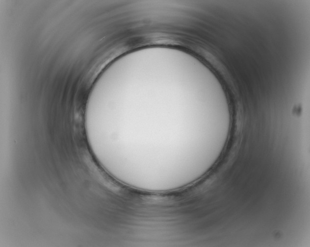 X0000113101281200909182129