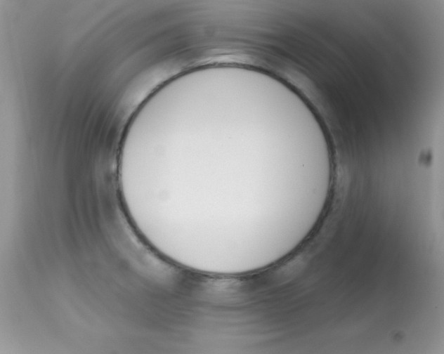 X0000113101282200909182129
