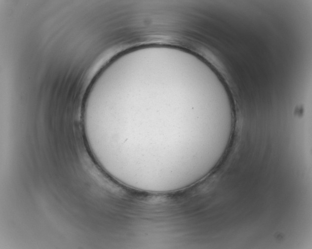 X0000113101283200909182129