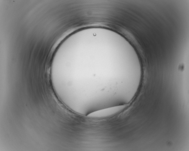 X0000113101284200909182129