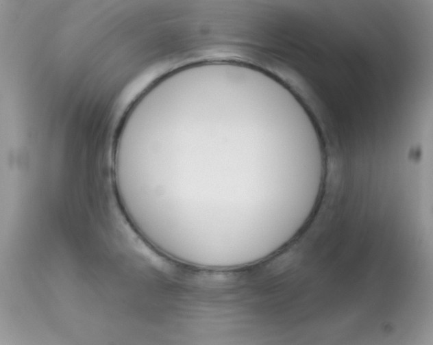 X0000113101286200909182129
