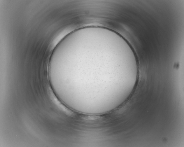 X0000113101290200909182129