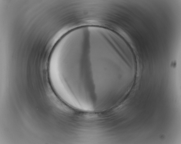 X0000113101291200909182129