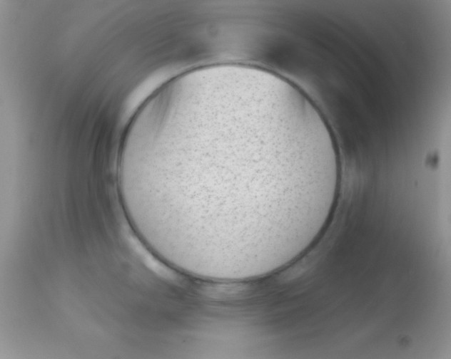 X0000113101294200909182129