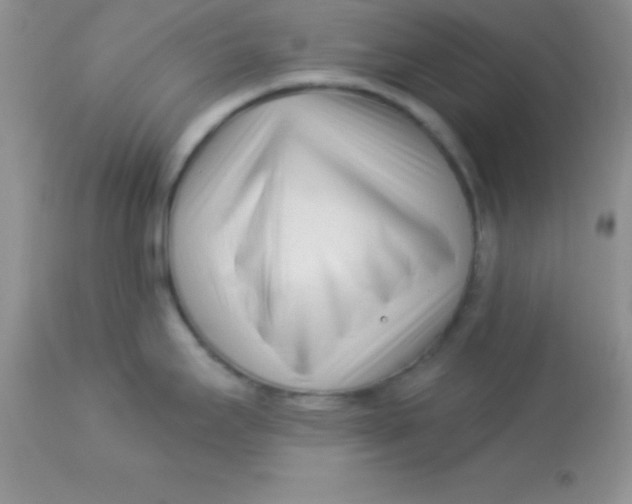 X0000113101295200909182129