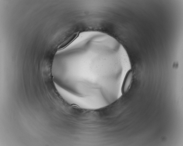 X0000113101298200909182128