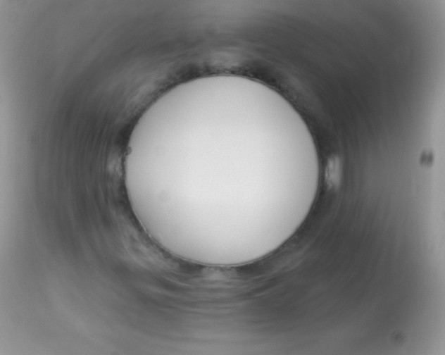X0000113101299200909182128