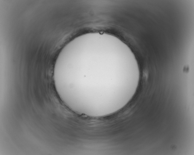X0000113101300200909182128