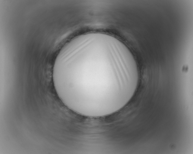 X0000113101301200909182128