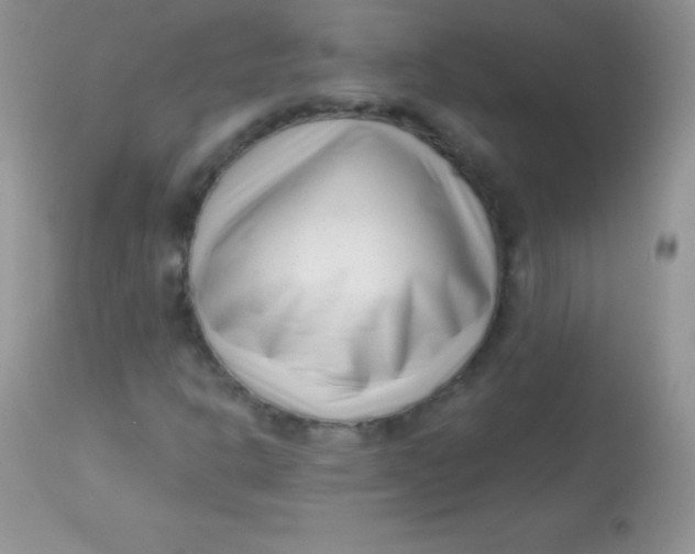 X0000113101302200909182128