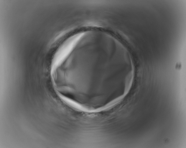 X0000113101303200909182128